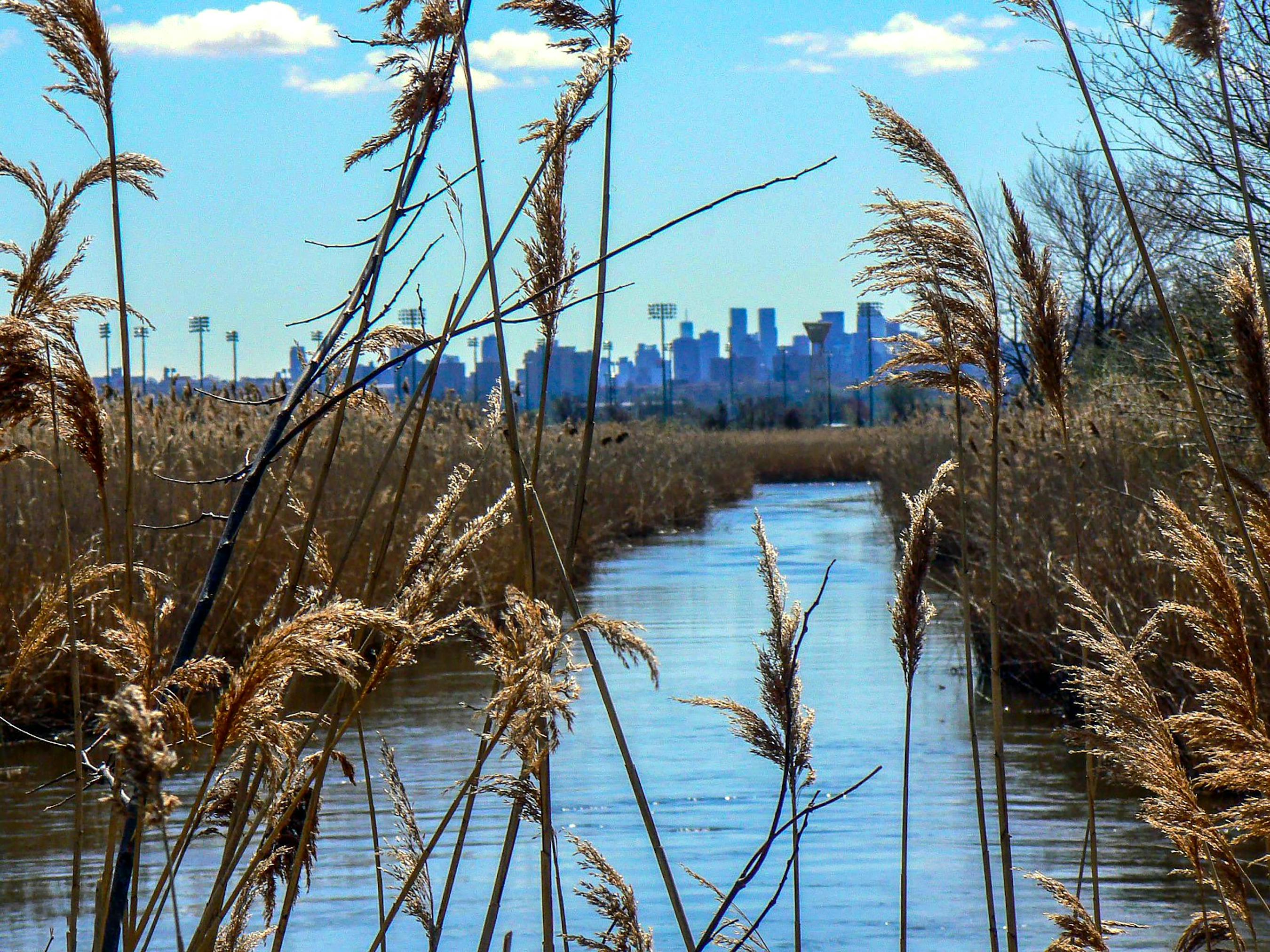 Our Region Meadowlands Kari Nousianen